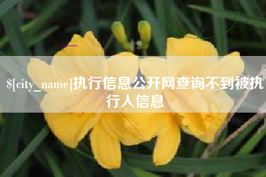 孝昌执行信息公开网查询不到被执行人信息