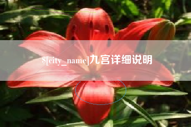 孝昌九宫详细说明