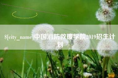 孝昌中国消防救援学院2019招生计划