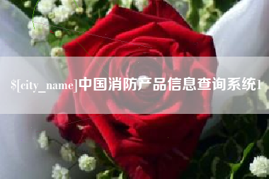 孝昌中国消防产品信息查询系统1