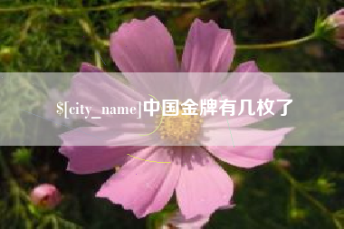 孝昌中国金牌有几枚了