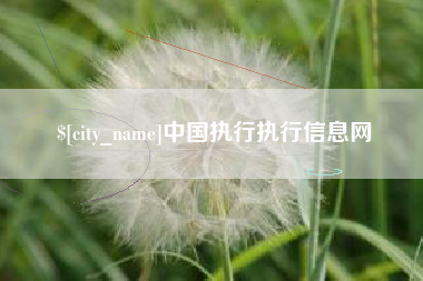 孝昌中国执行执行信息网