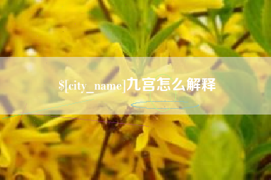 孝昌九宫怎么解释