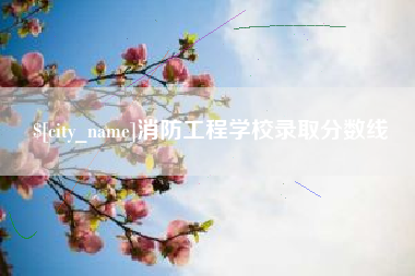 孝昌消防工程学校录取分数线