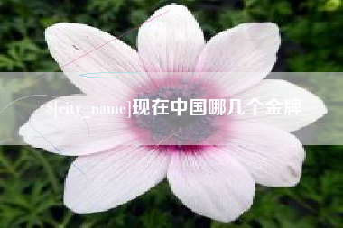 孝昌现在中国哪几个金牌