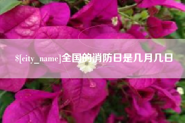 孝昌全国的消防日是几月几日