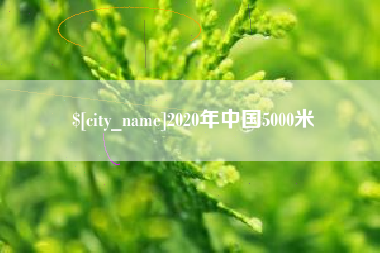 孝昌2020年中国5000米