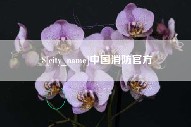 孝昌中国消防官方