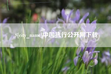 孝昌中国执行公开网下载