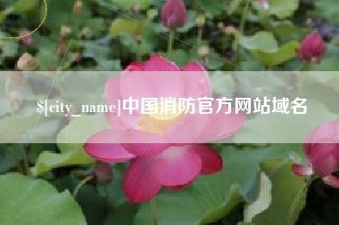 孝昌中国消防官方网站域名