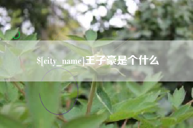 孝昌王子豪是个什么