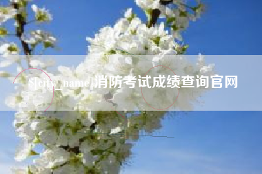 孝昌消防考试成绩查询官网