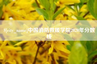 孝昌中国消防救援学院2020年分数线
