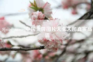 孝昌中国金牌图片大全大图真实高清
