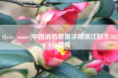 孝昌中国消防救援学院浙江招生2020分数线