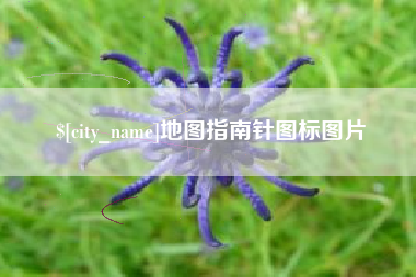孝昌地图指南针图标图片