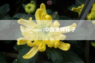 孝昌中国金牌样子