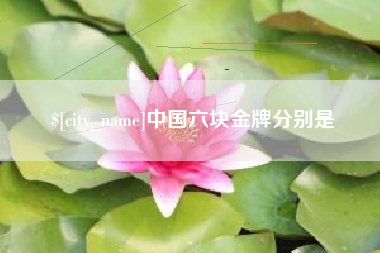孝昌中国六块金牌分别是