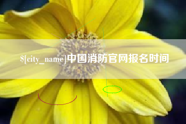 孝昌中国消防官网报名时间
