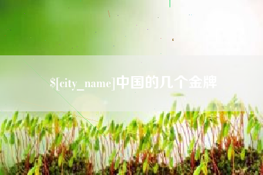 孝昌中国的几个金牌