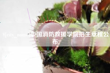 孝昌中国消防救援学院招生章程公布!