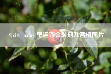 孝昌奥运夺金时刻九宫格图片
