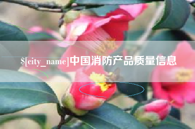 孝昌中国消防产品质量信息