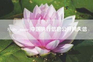 孝昌中国执行信息公开网失信