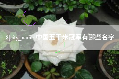 孝昌中国五千米冠军有哪些名字
