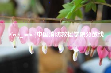 孝昌中国消防救援学院分数线