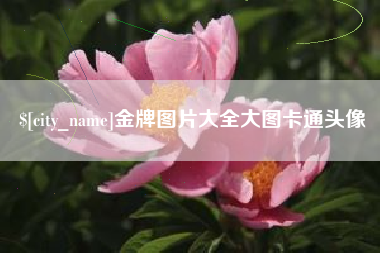 孝昌金牌图片大全大图卡通头像