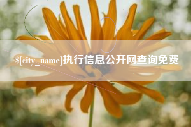 孝昌执行信息公开网查询免费