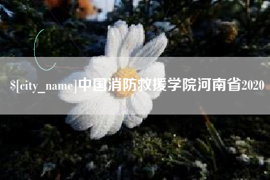 孝昌中国消防救援学院河南省2020